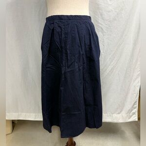 Banana Republic Factory Navy A-Line Skirt